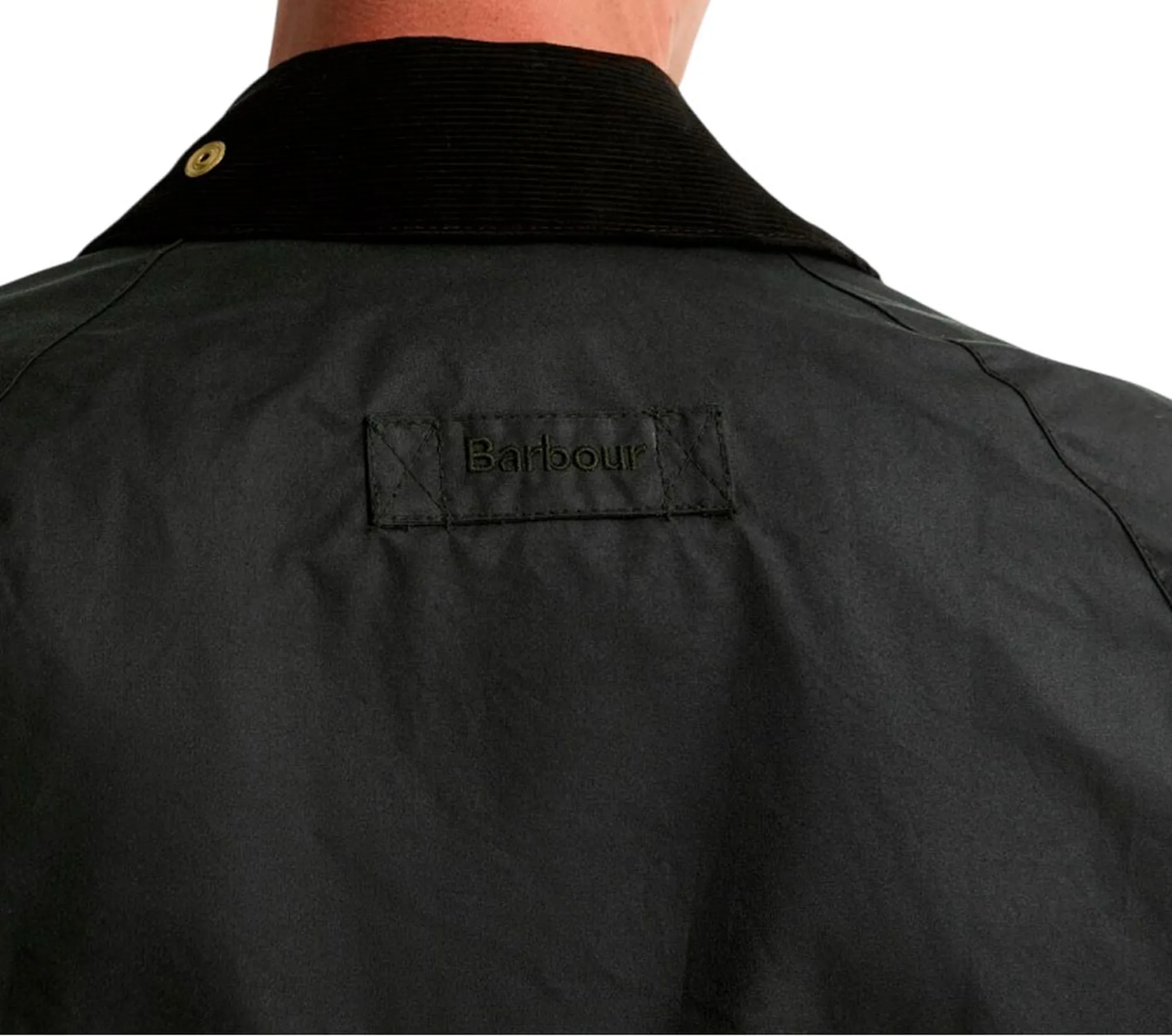Barbour Giubbino Patch Bedale Cerato Salvia Mwx2585 187781