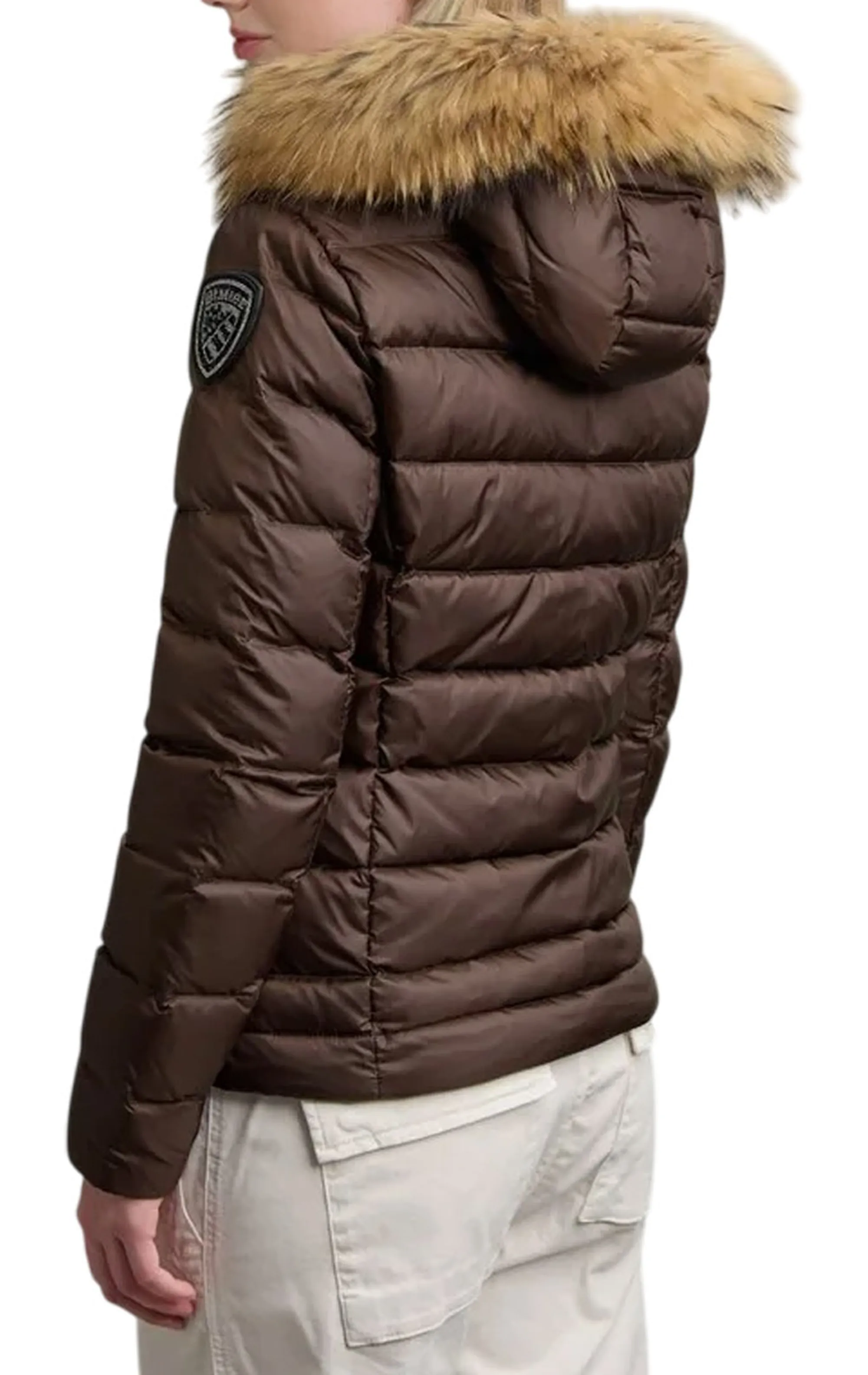 Blauer Piumino Arcadia Marrone 25Wbldc03099 167552