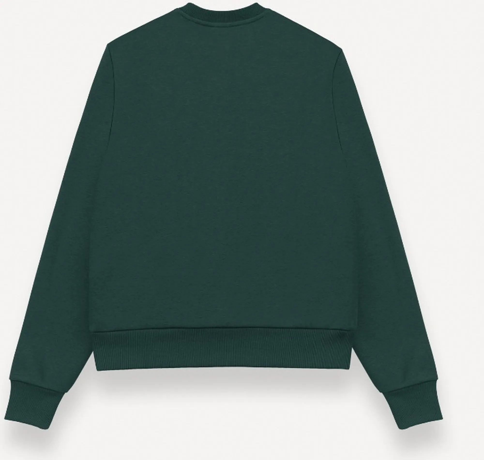 Colmar B'Sweatshirt ' Green 620000041Wx 189087