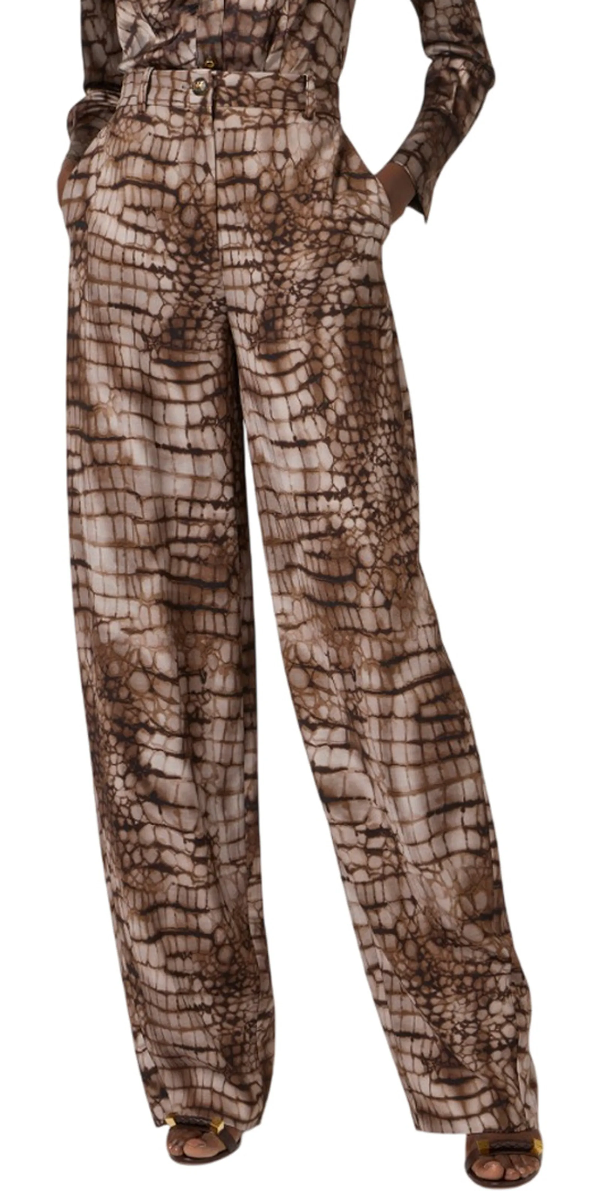 Elisabetta Franchi B'Lightweight Jersey Trousers With Alligator Print' Cacao Pa16261E2 178048