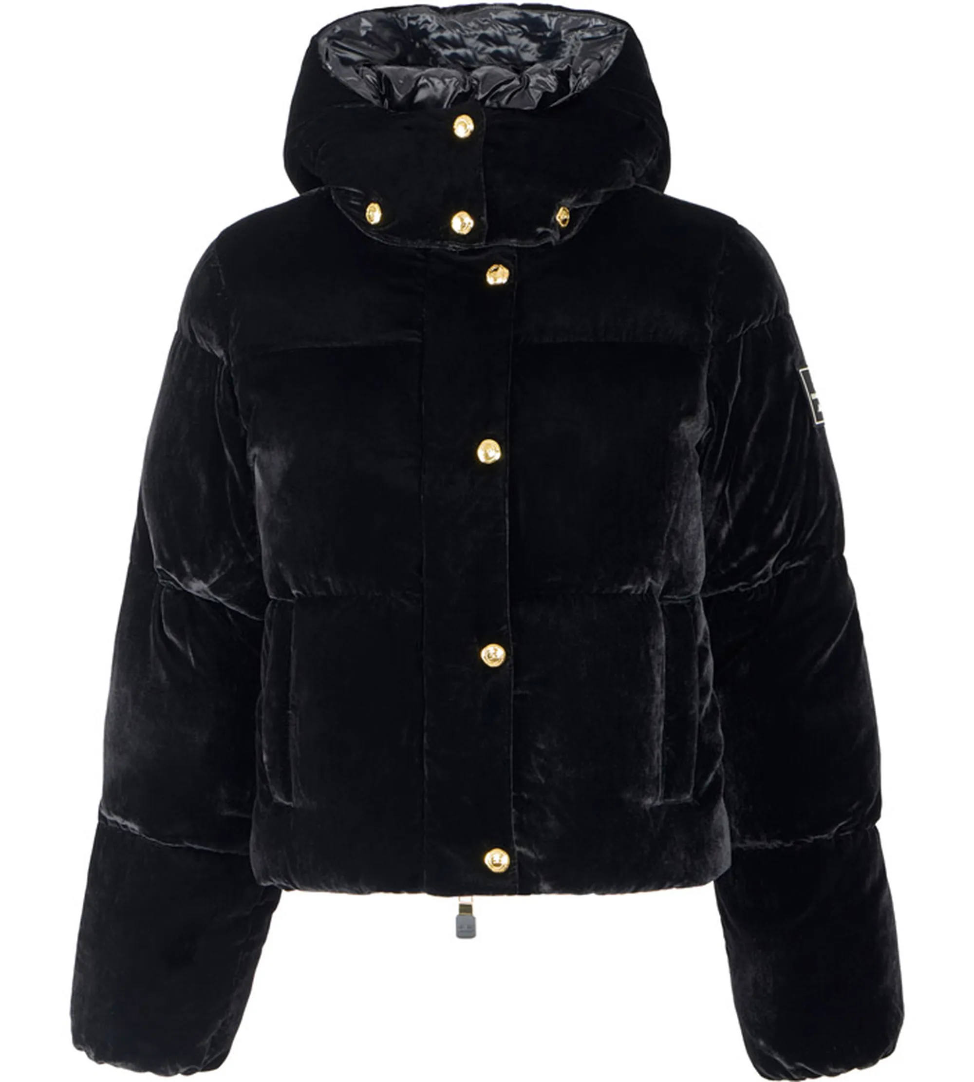 Elisabetta Franchi B'Velvet Down Jacket With Hood' Black Pi82D56E2 160168