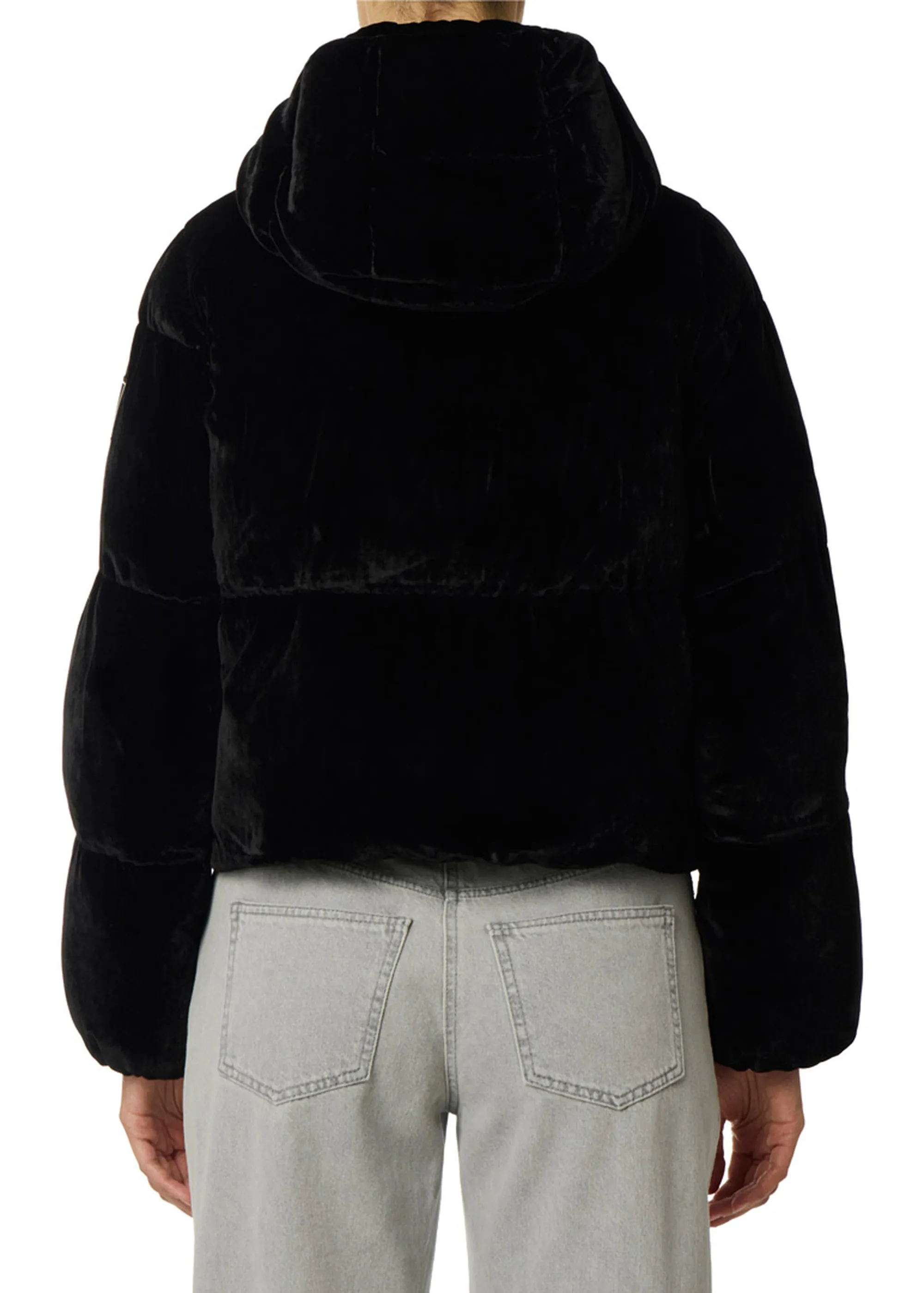 Elisabetta Franchi B'Velvet Down Jacket With Hood' Black Pi82D56E2 160171