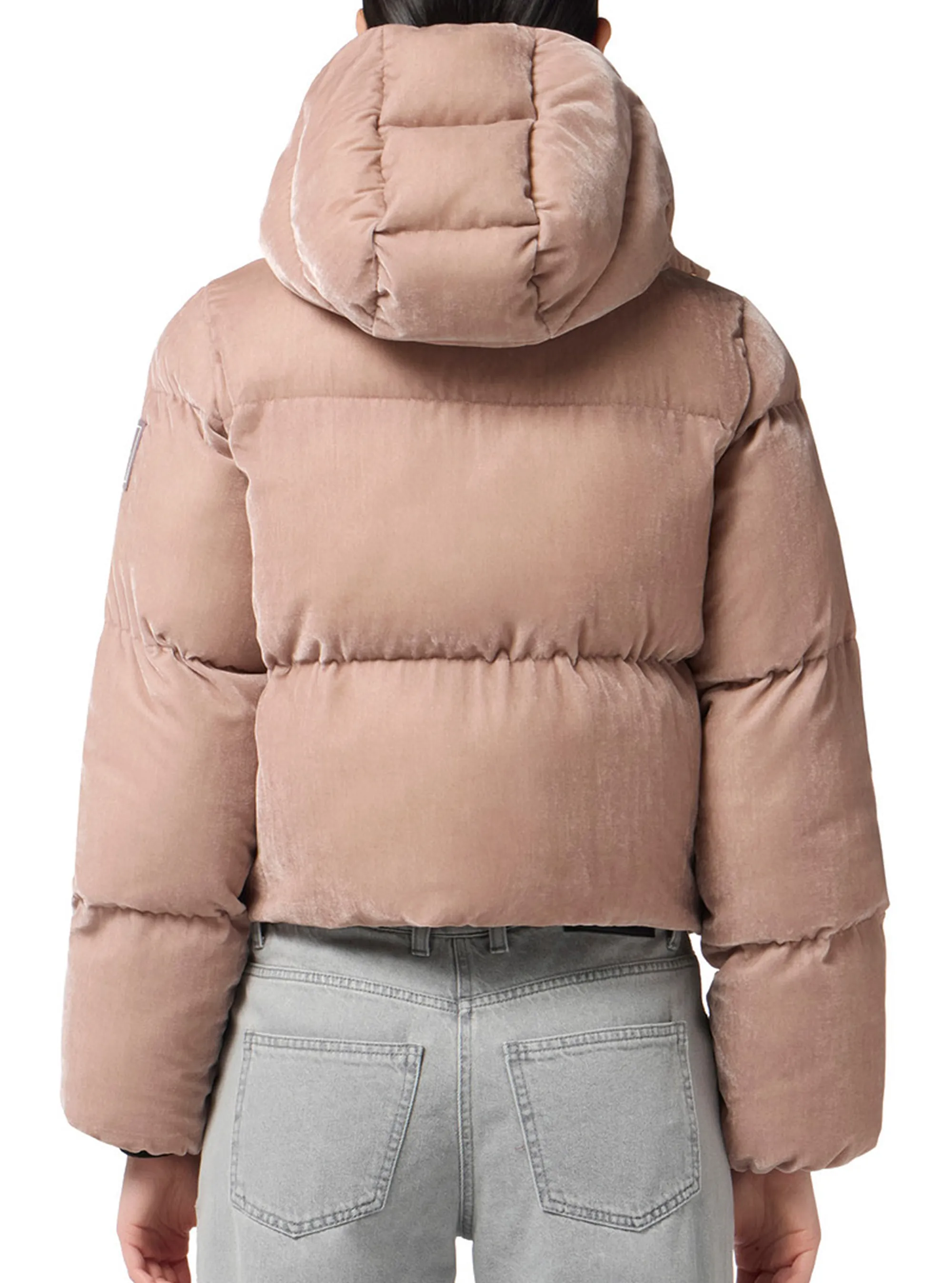 Elisabetta Franchi B'Velvet Down Jacket With Hood' Sunrise Pi82D56E2 160176