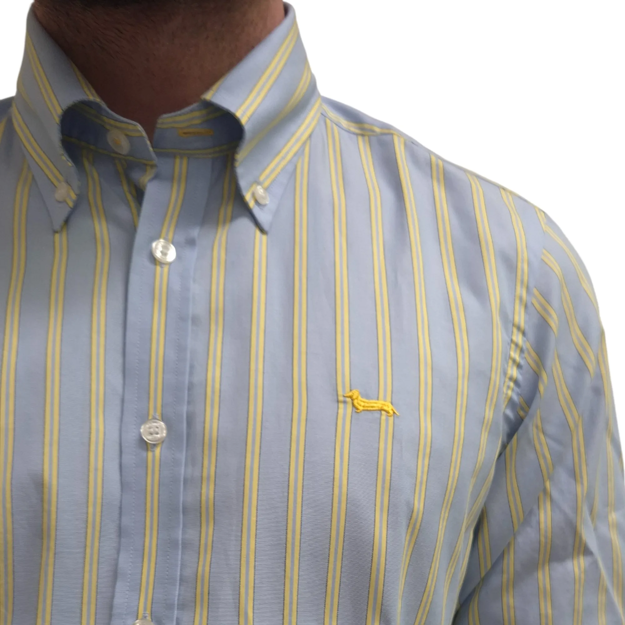 Harmont & Blaine Camicia Azzurro Crq001013734B 183185