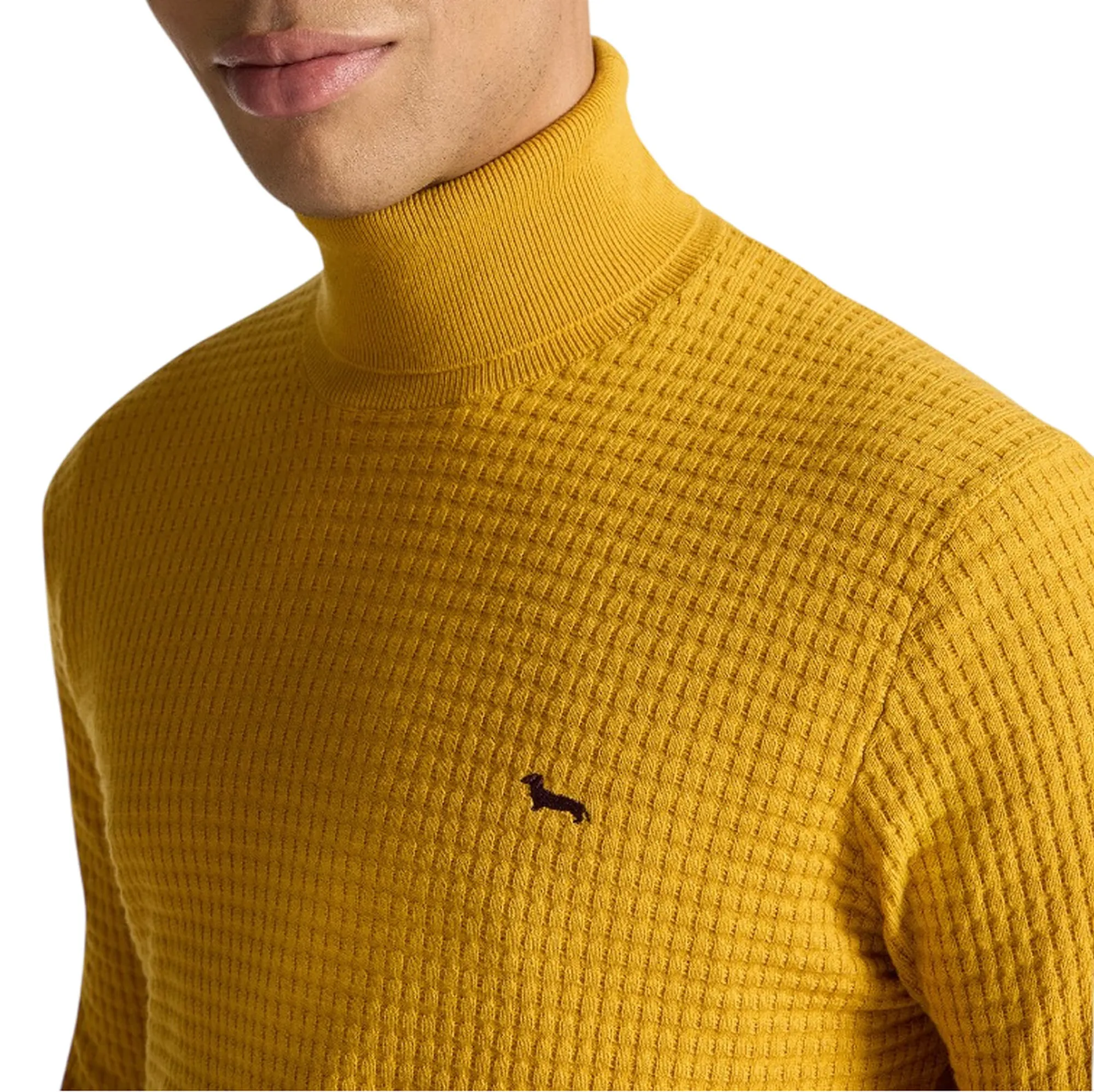 Harmont & Blaine Dolcevita Giallo Hrp812030788 163330