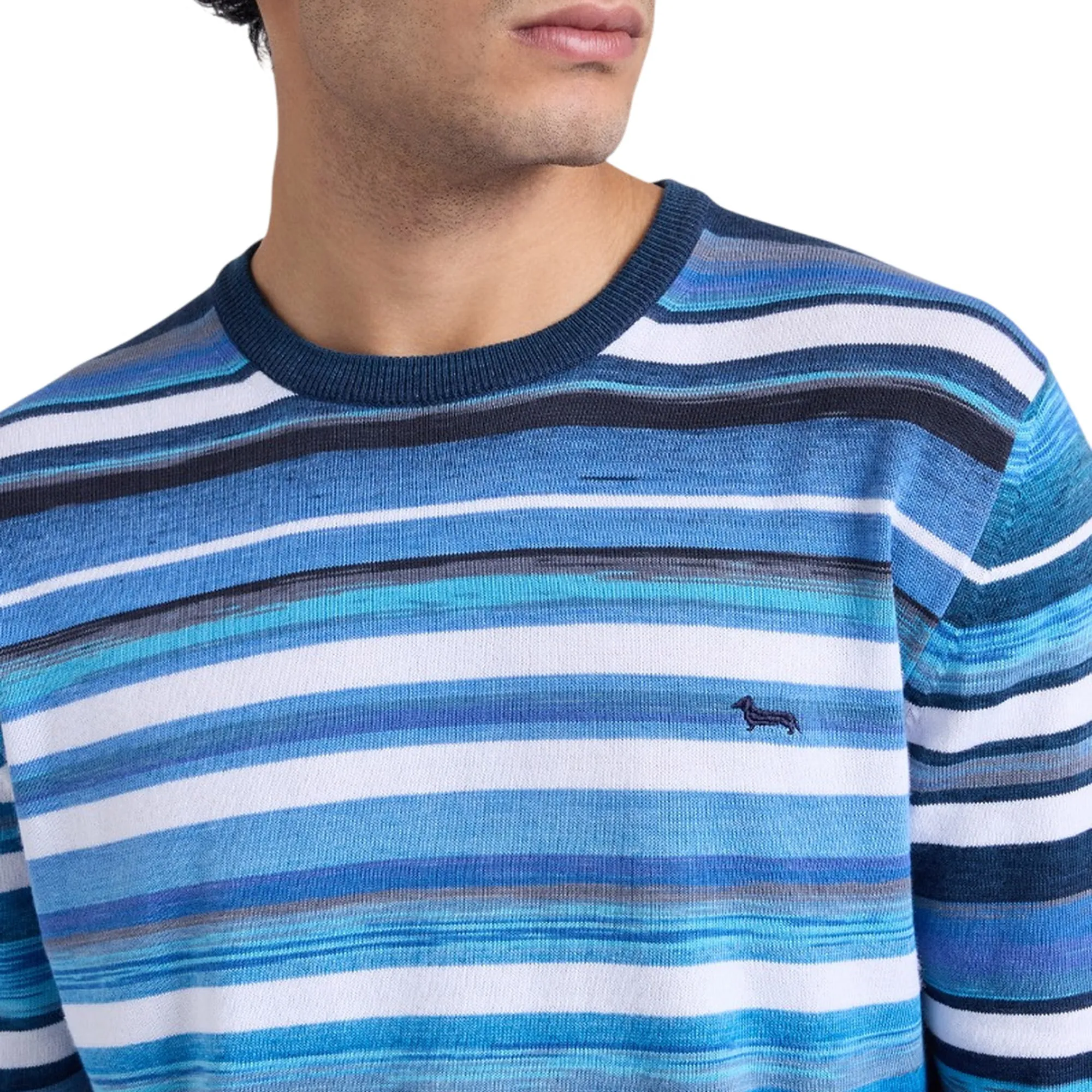 Harmont & Blaine Maglia Blu Hrq886031055 176904