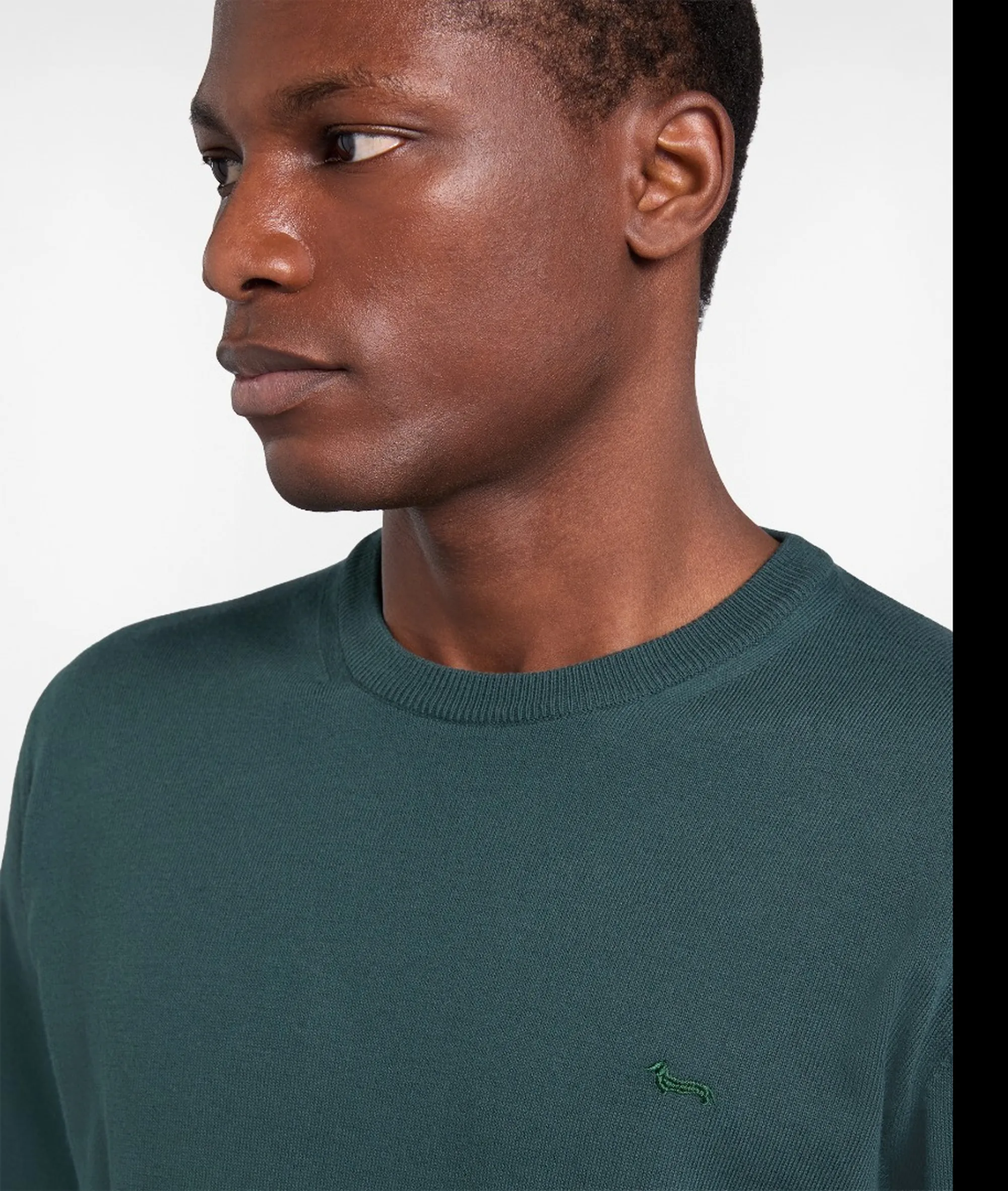 Harmont & Blaine Maglia Verde Hrq018030075 176015