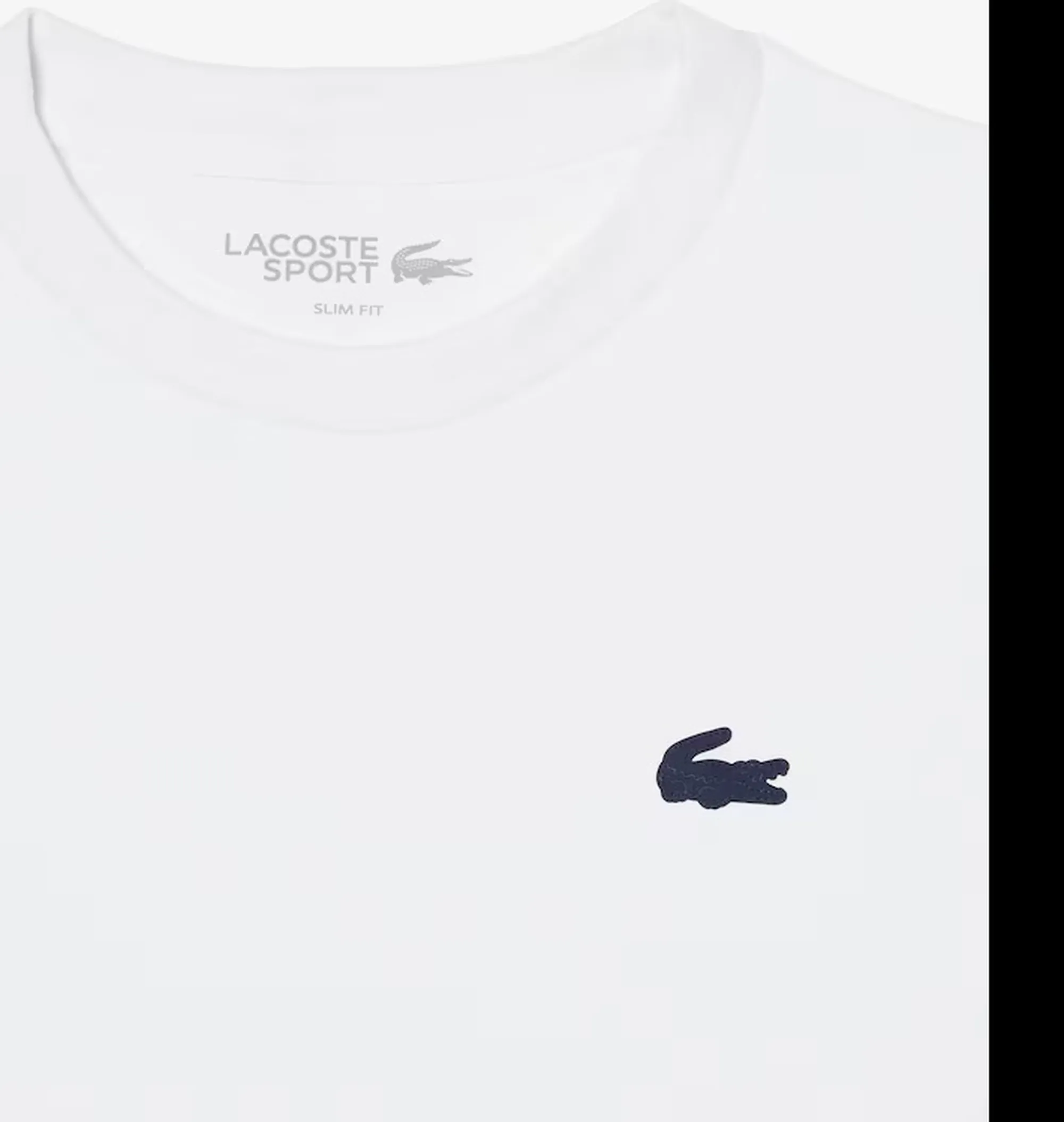 Lacoste T-Shirt Bianco Tf9246 175994