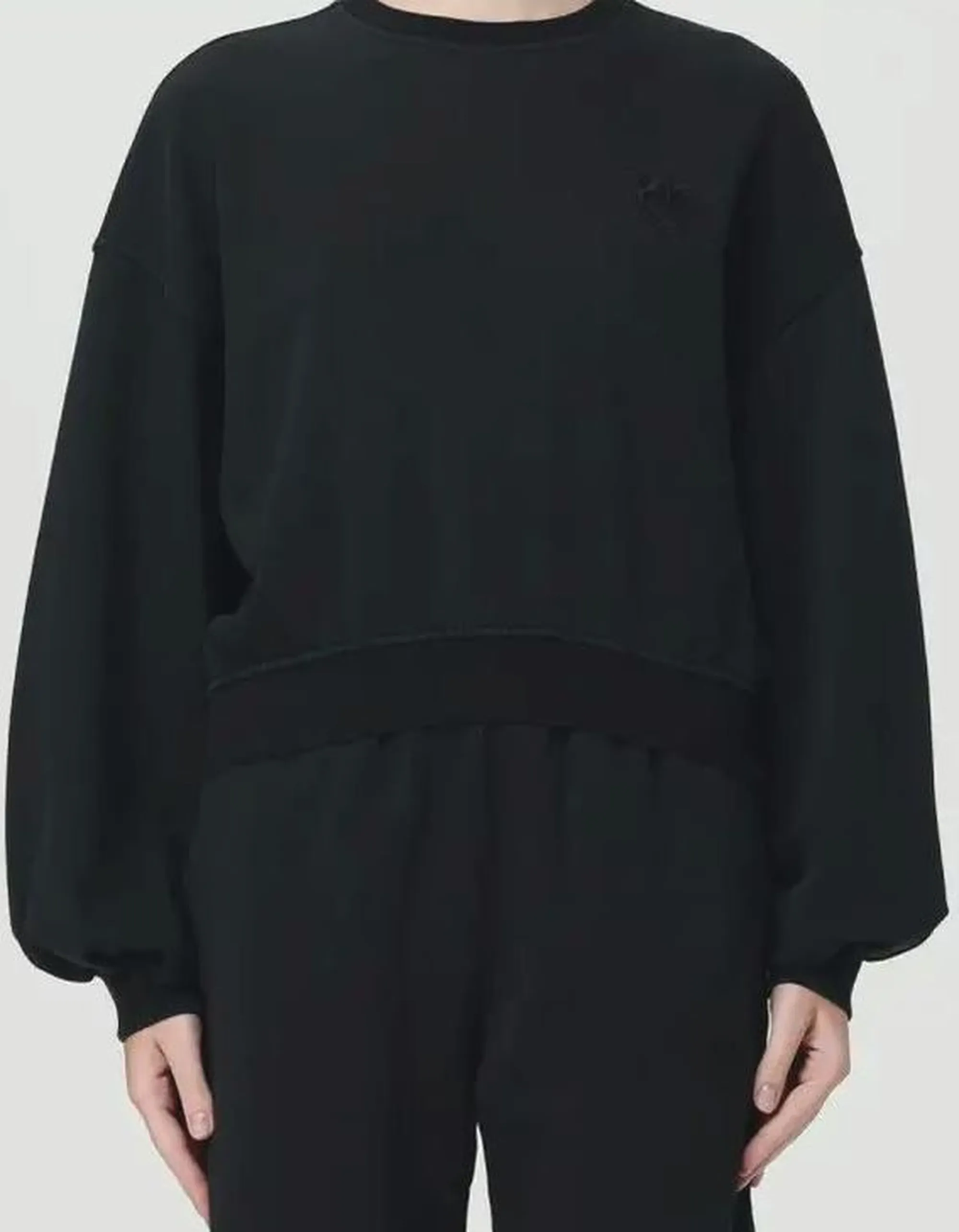 Pinko B'Sweatshirt With Embroidered Logo' Black 105510A2Rb 154379