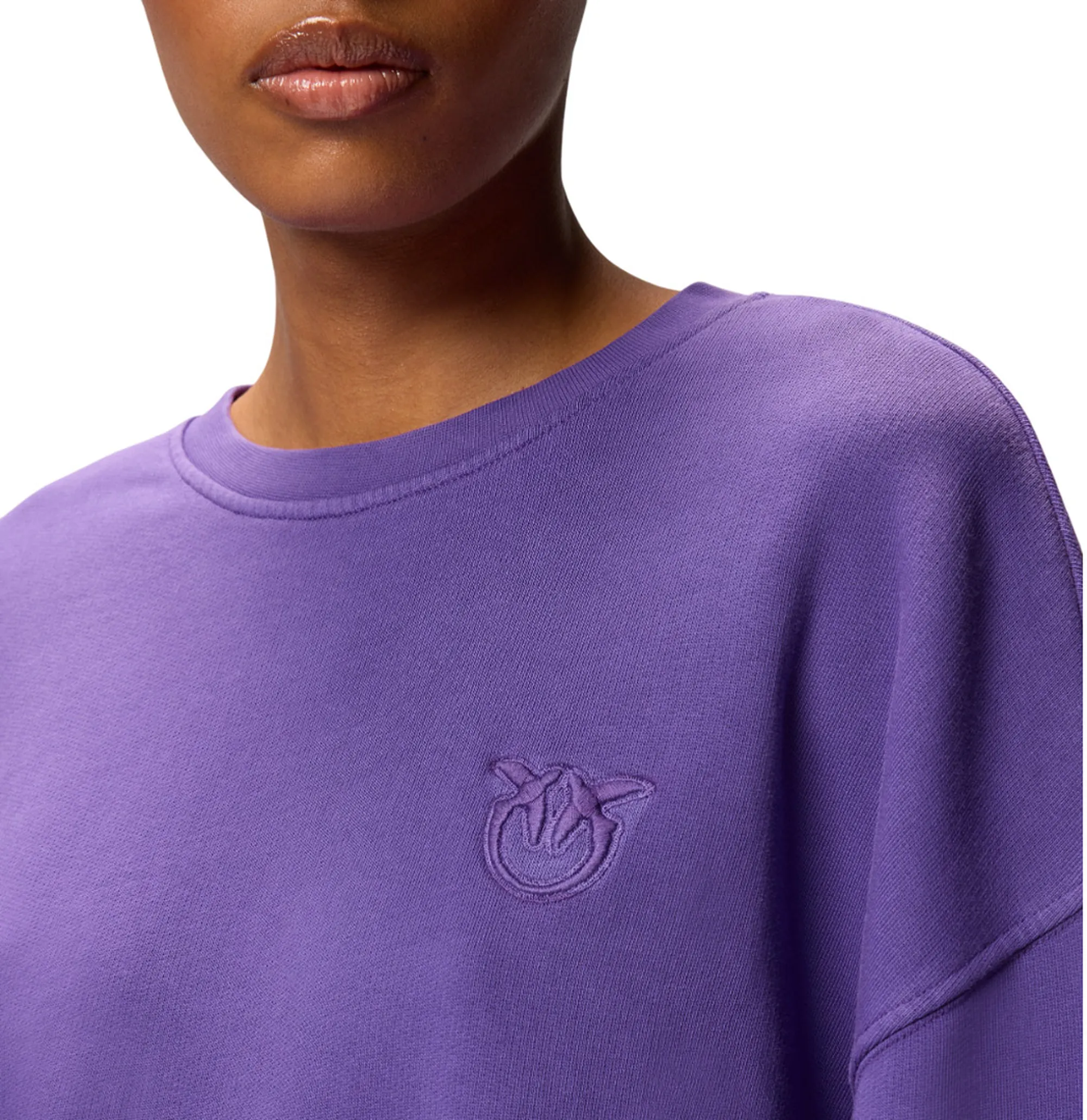 Pinko B'Sweatshirt With Embroidered Logo' Viola 105510A2Rb 154897