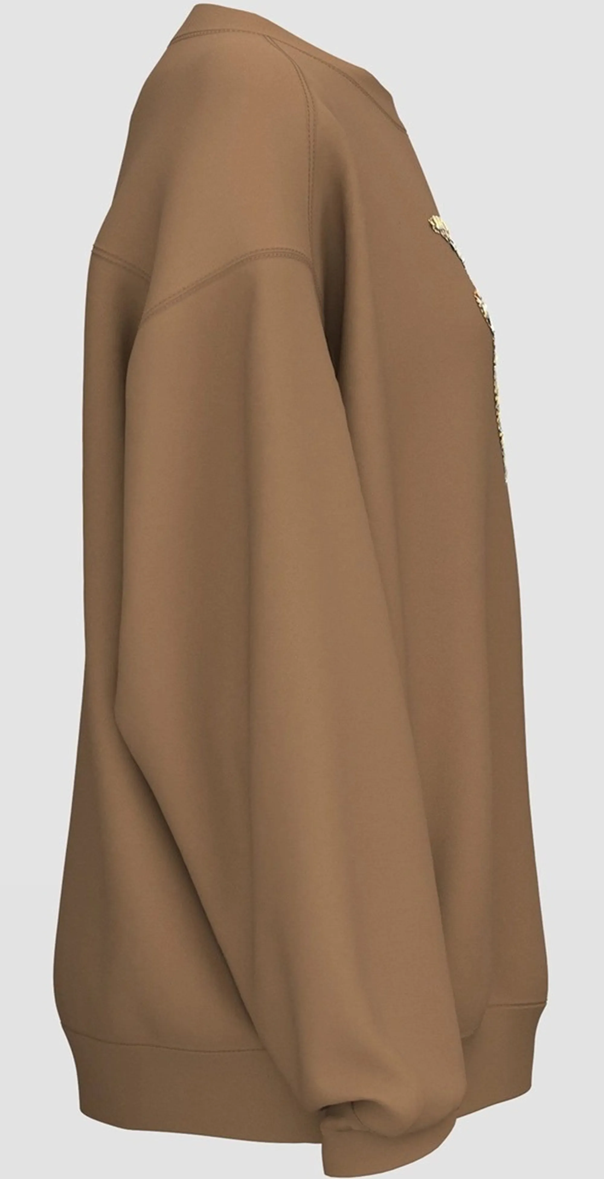 Pinko B'Nelly Sweatshirt' Brown 100534A2Ro 154473