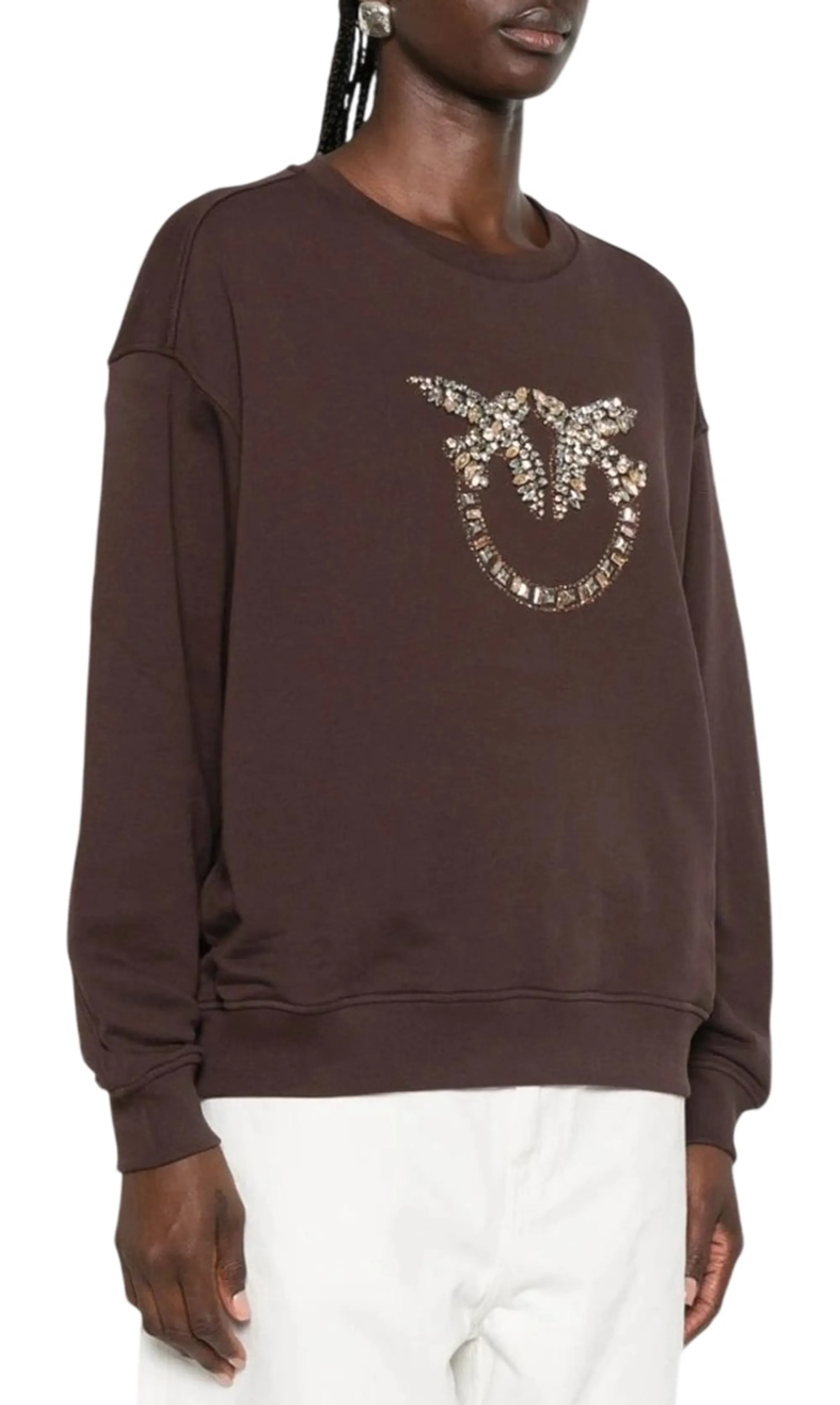 Pinko B'Nelly Rcamo Logo Sweatshirt' Brown 100534A3Jq 186405