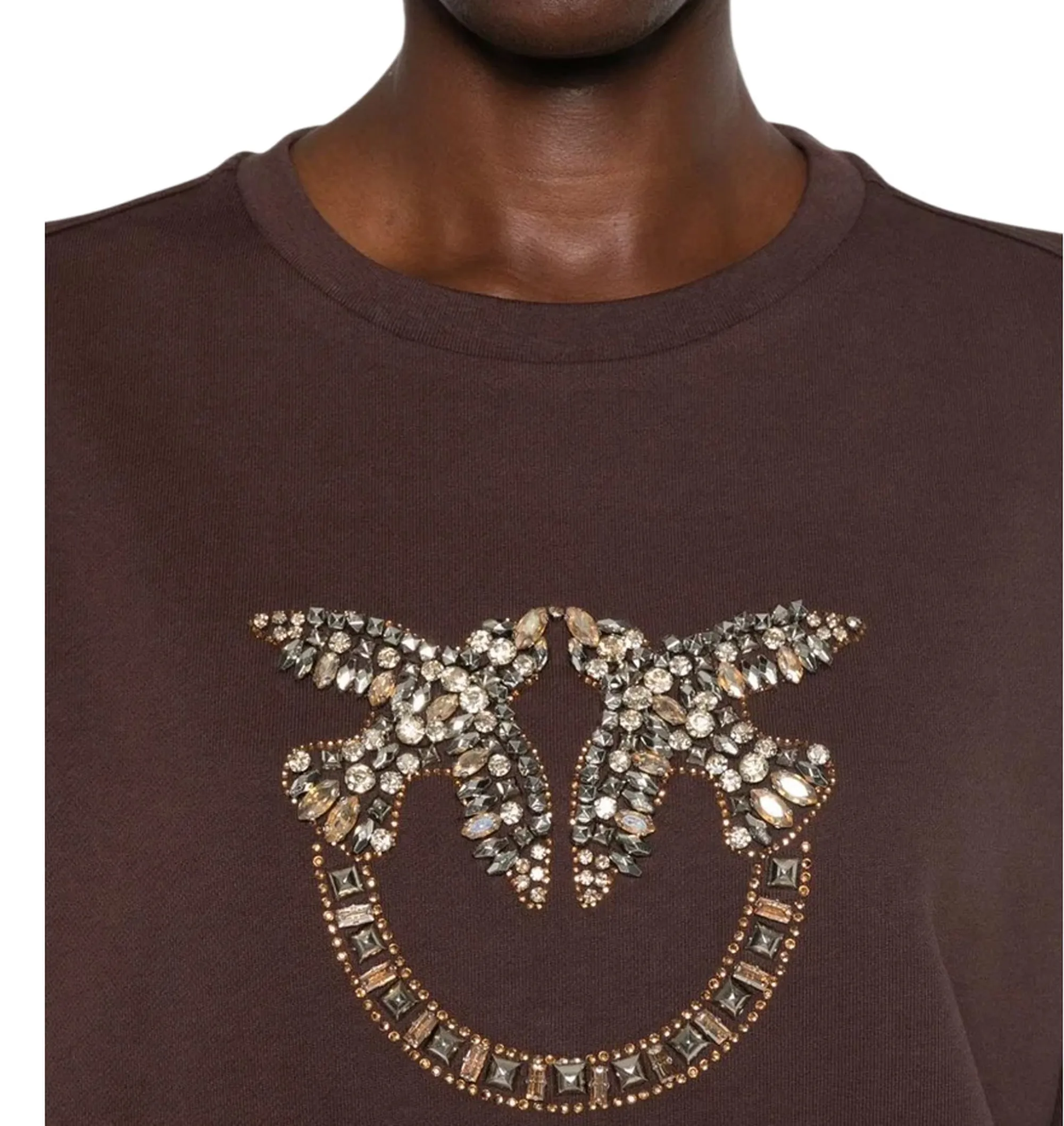 Pinko B'Nelly Rcamo Logo Sweatshirt' Brown 100534A3Jq 186408