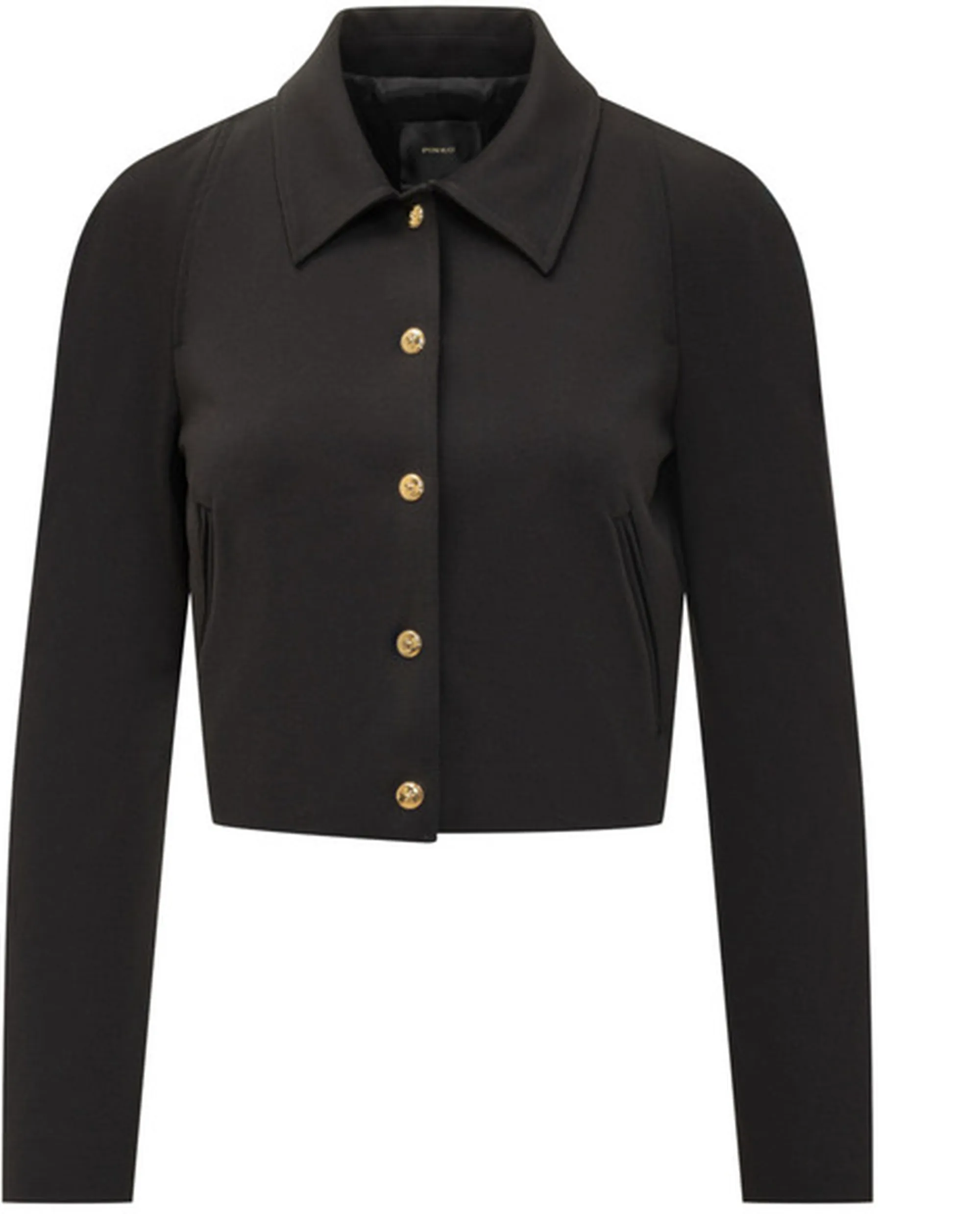 Pinko B'Guazzetto Jacket' Black 105784A24C 154471