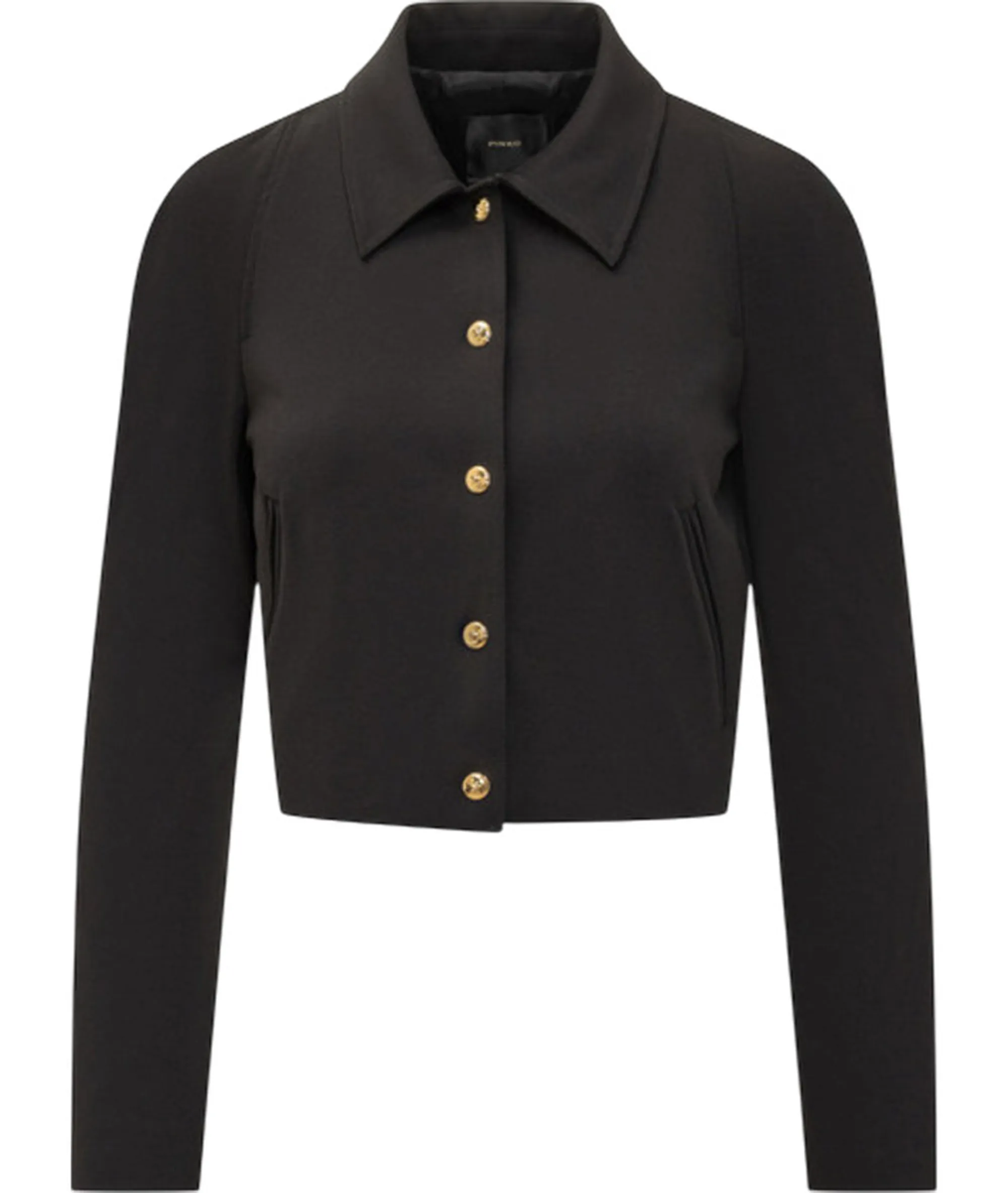 Pinko B'Guazzetto Jacket' Black 105784A24C 154872