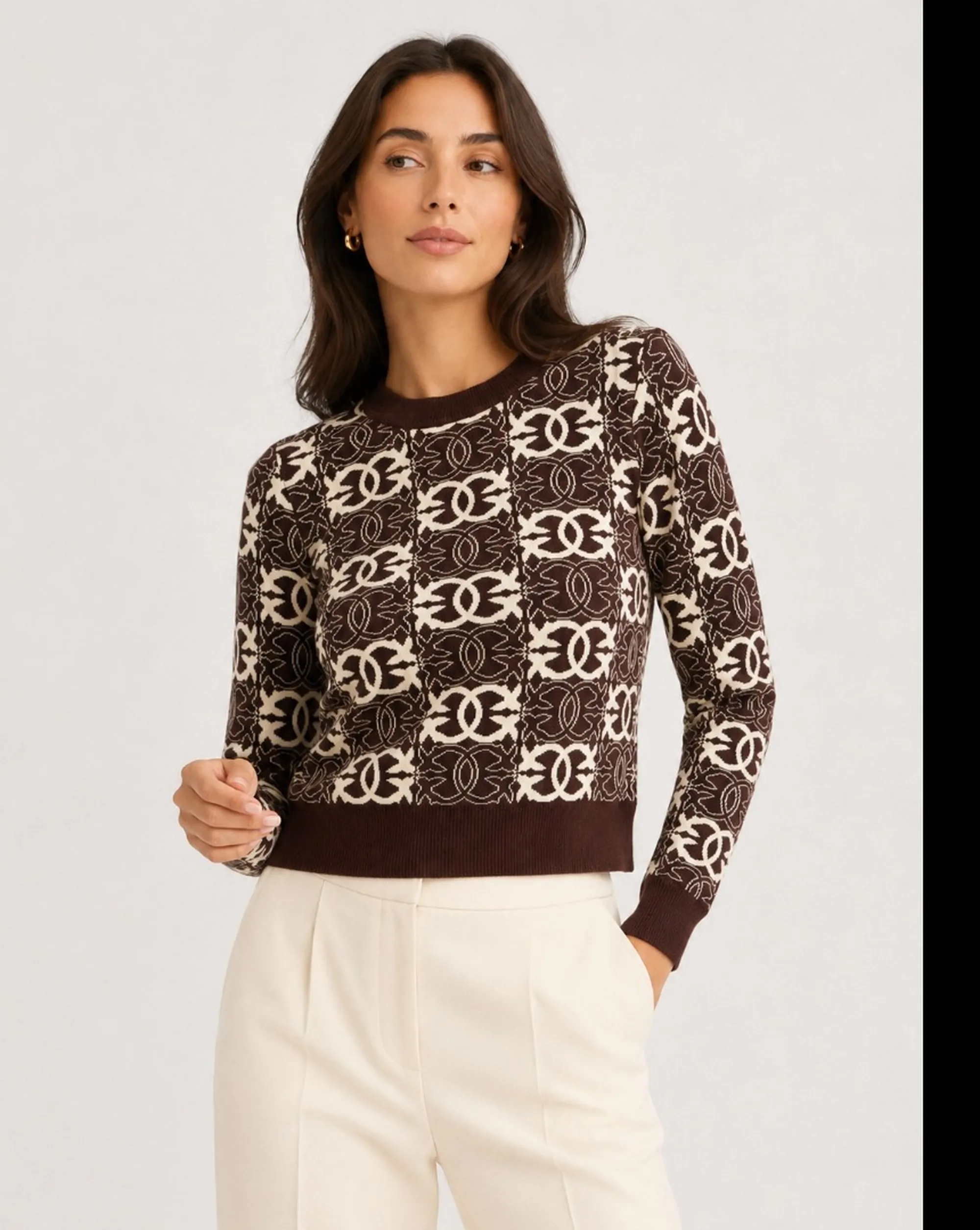 Pinko B'Gypsies Sweater' Brown 106041A2Yd 186278