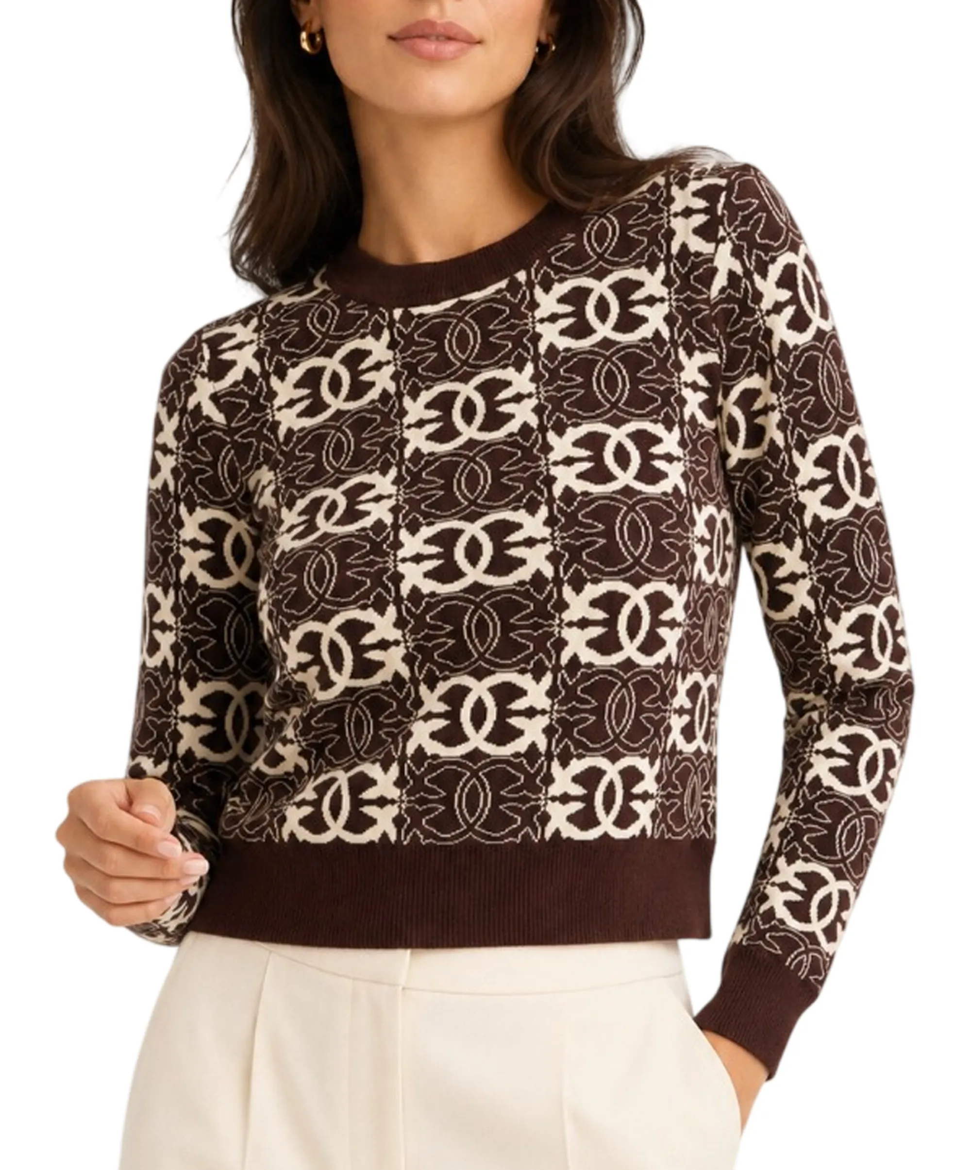 Pinko B'Gypsies Sweater' Brown 106041A2Yd 187525