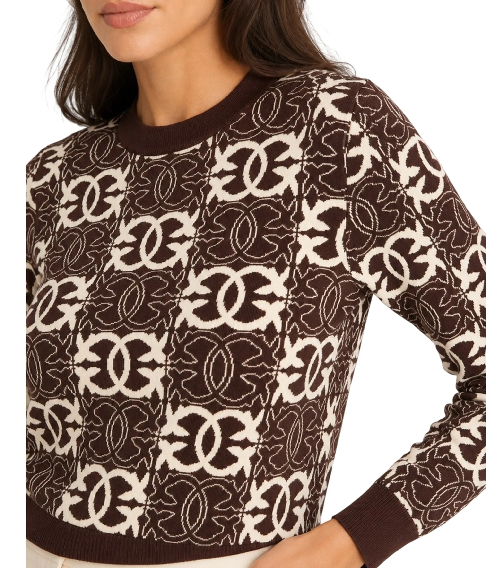 Pinko B'Gypsies Sweater' Brown 106041A2Yd 187528