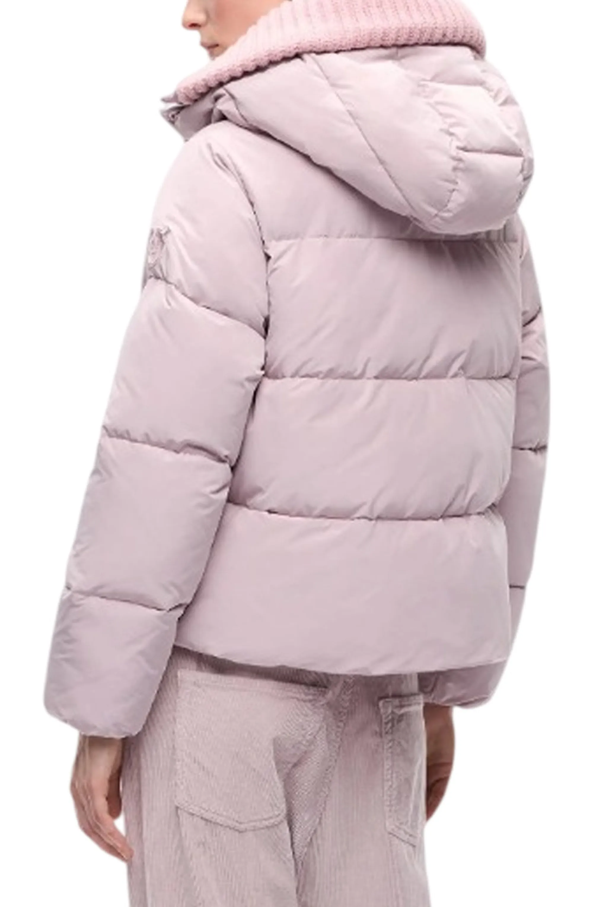 Pinko Piumino Dianthus Imbottito Rosa 107161A39J 186536