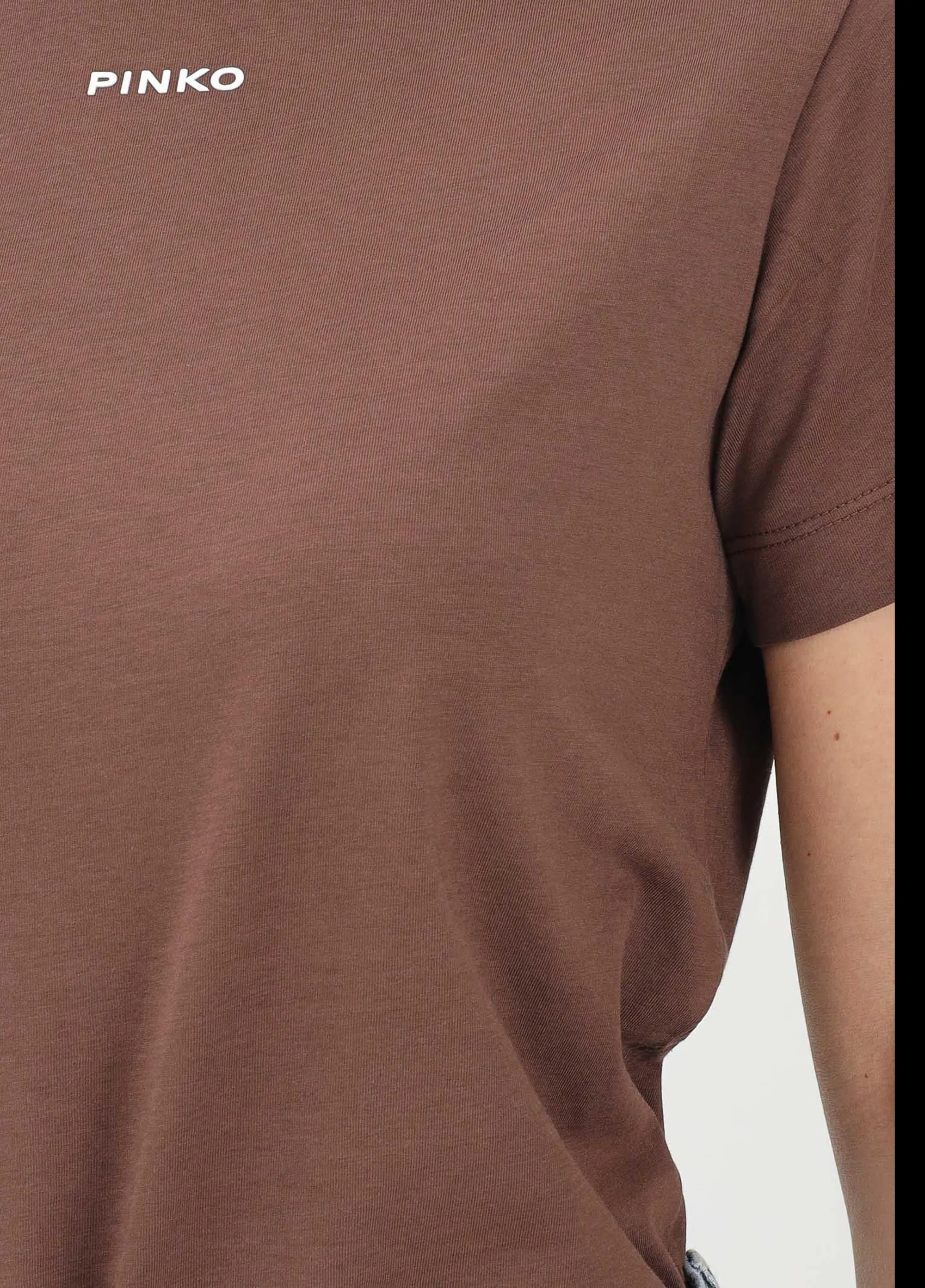 Pinko B'T-Shirt Basico' Brown 100373A34F 170137