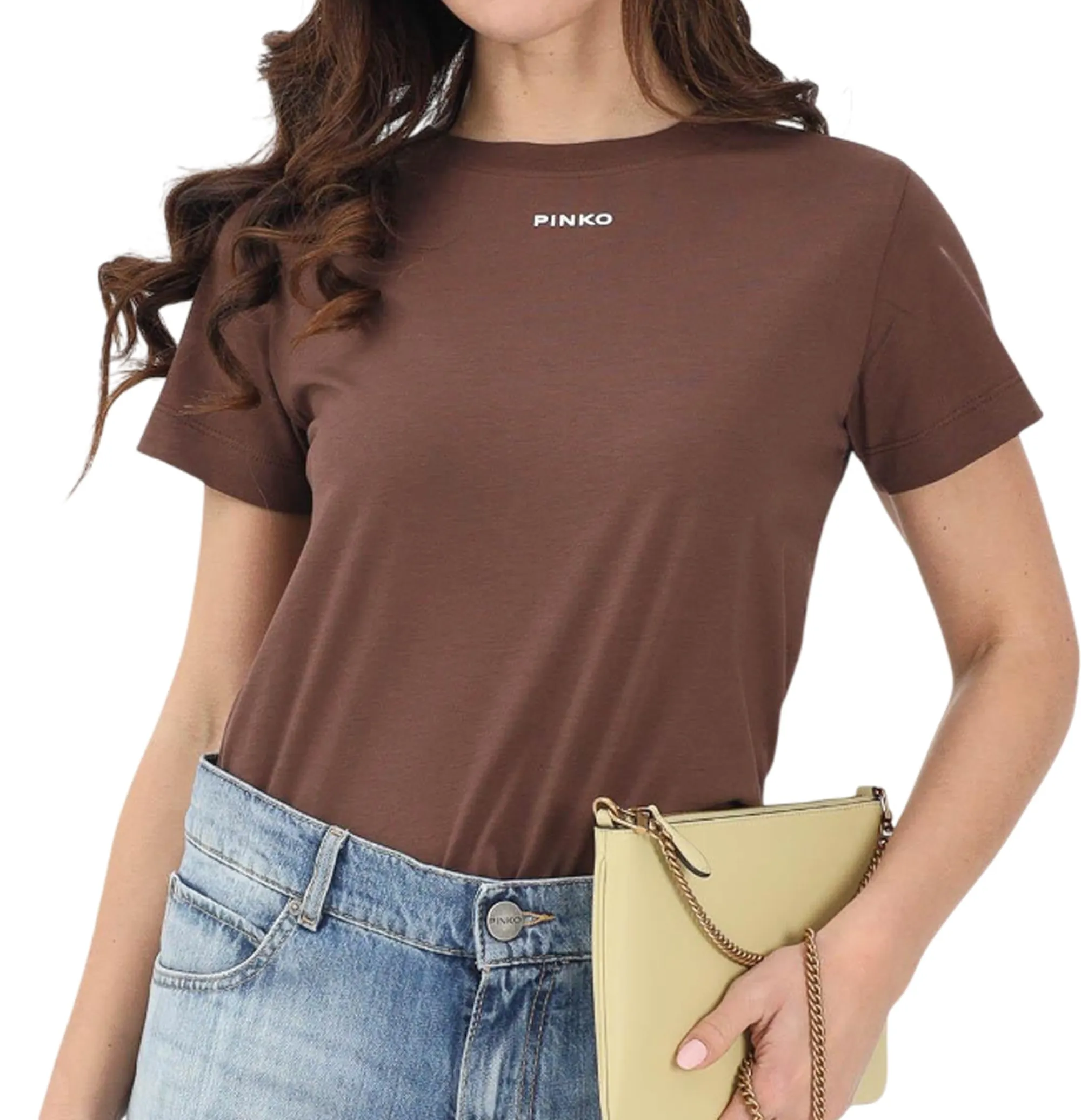 Pinko T-Shirt Basico Marrone 100373A34F 178506