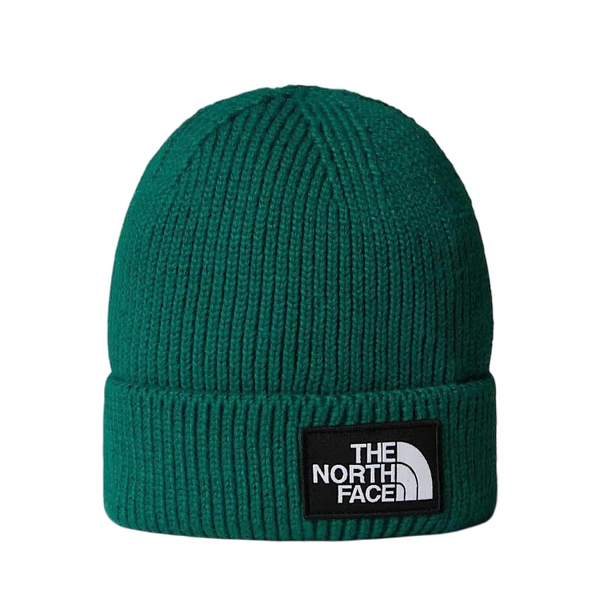 The North Face Berretto Verde Nf0A8Che 169025