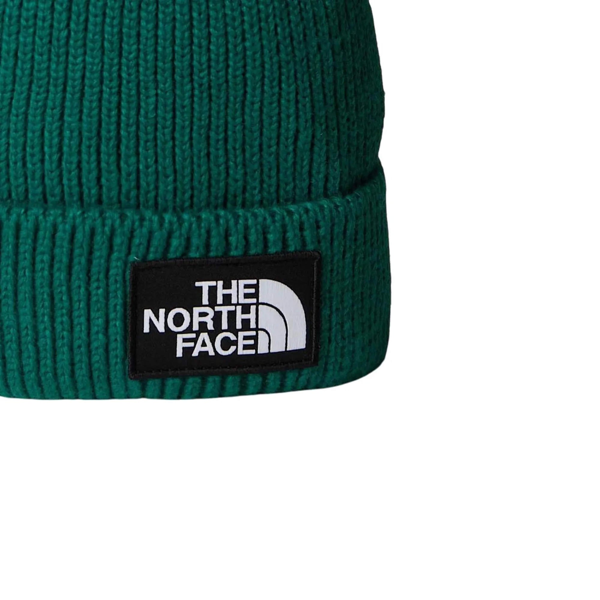 The North Face Berretto Verde Nf0A8Che 169027