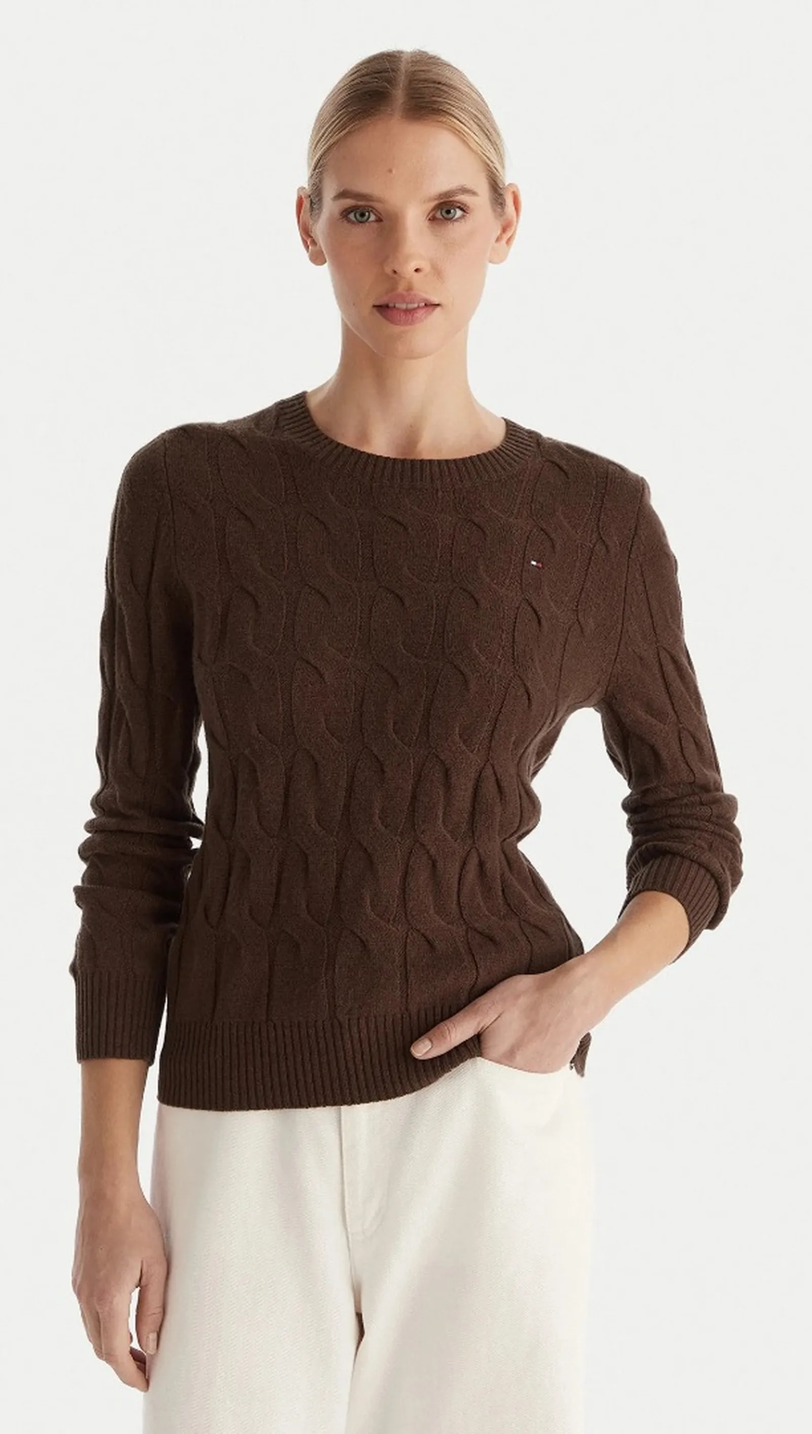 Tommy Hilfiger Maglia Marrone Ww0Ww43586 201491
